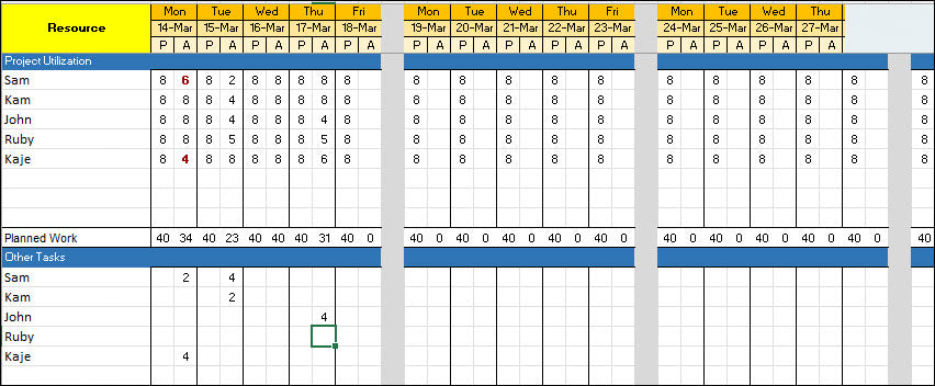 Resource and Capacity Planning 