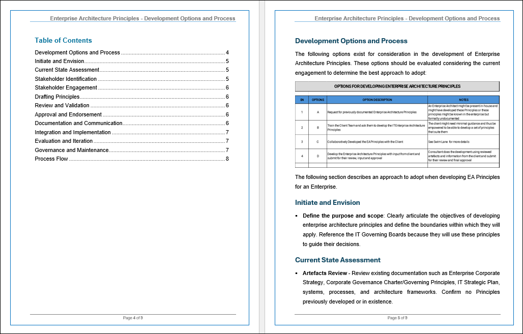 Enterprise Architecture Principles-Development Options and Process  Template