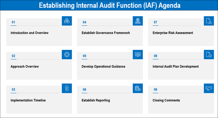 EstablishinganInternalAuditFunction