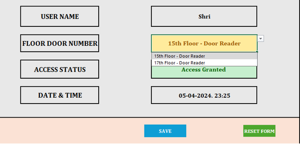 Entry Form Template - Custom product