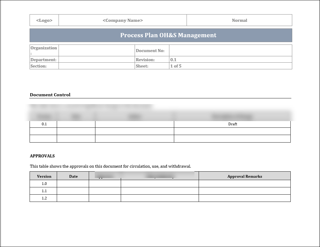 ISO 45001 Process Plan Occupational Health and Saftey Management System Template