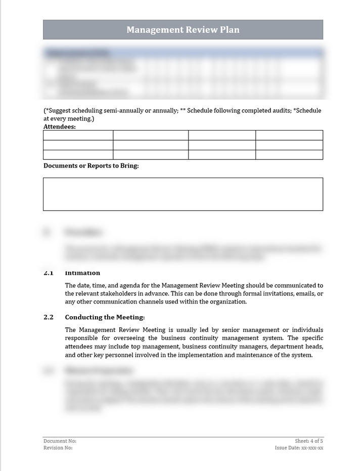 ISO 45001 Management Review Plan Template