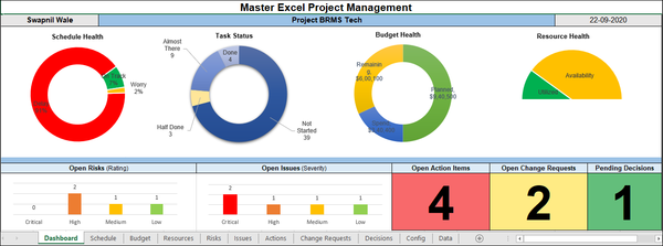 Master excel project Management