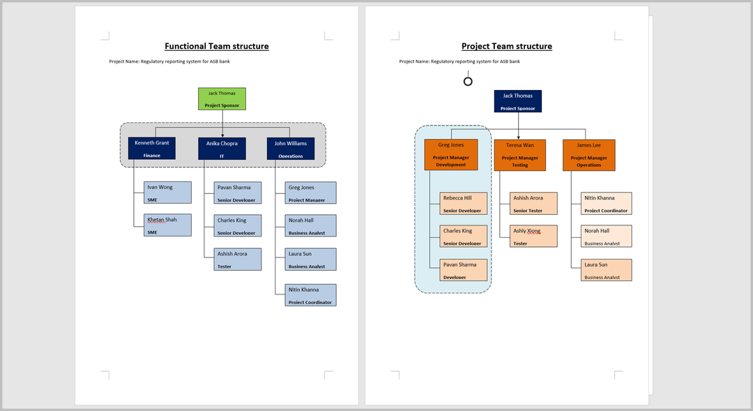 Project Team Structure Template