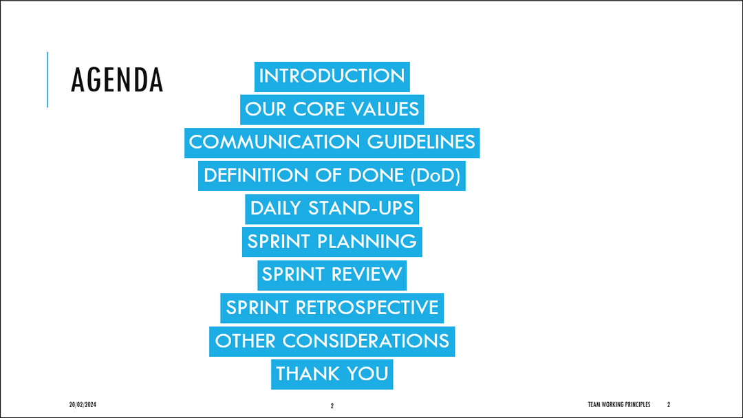 Team Working Principles Template