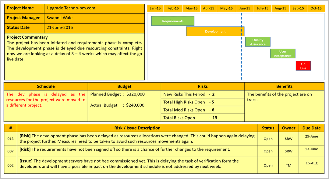 Project Status Report, Status Report