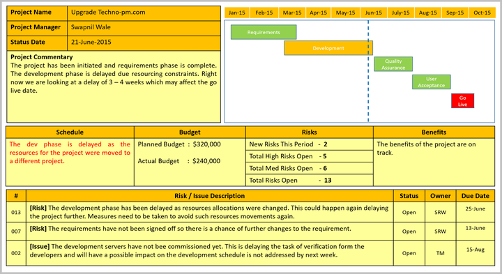 Project Status Report, Status Report